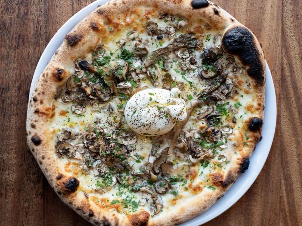 Funghi e Burrata
