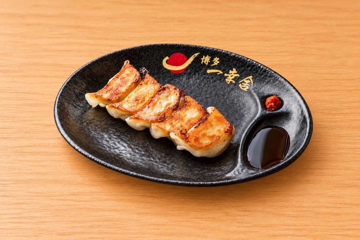 Gyoza (5 pieces) 博多一口餃子(5ヶ)