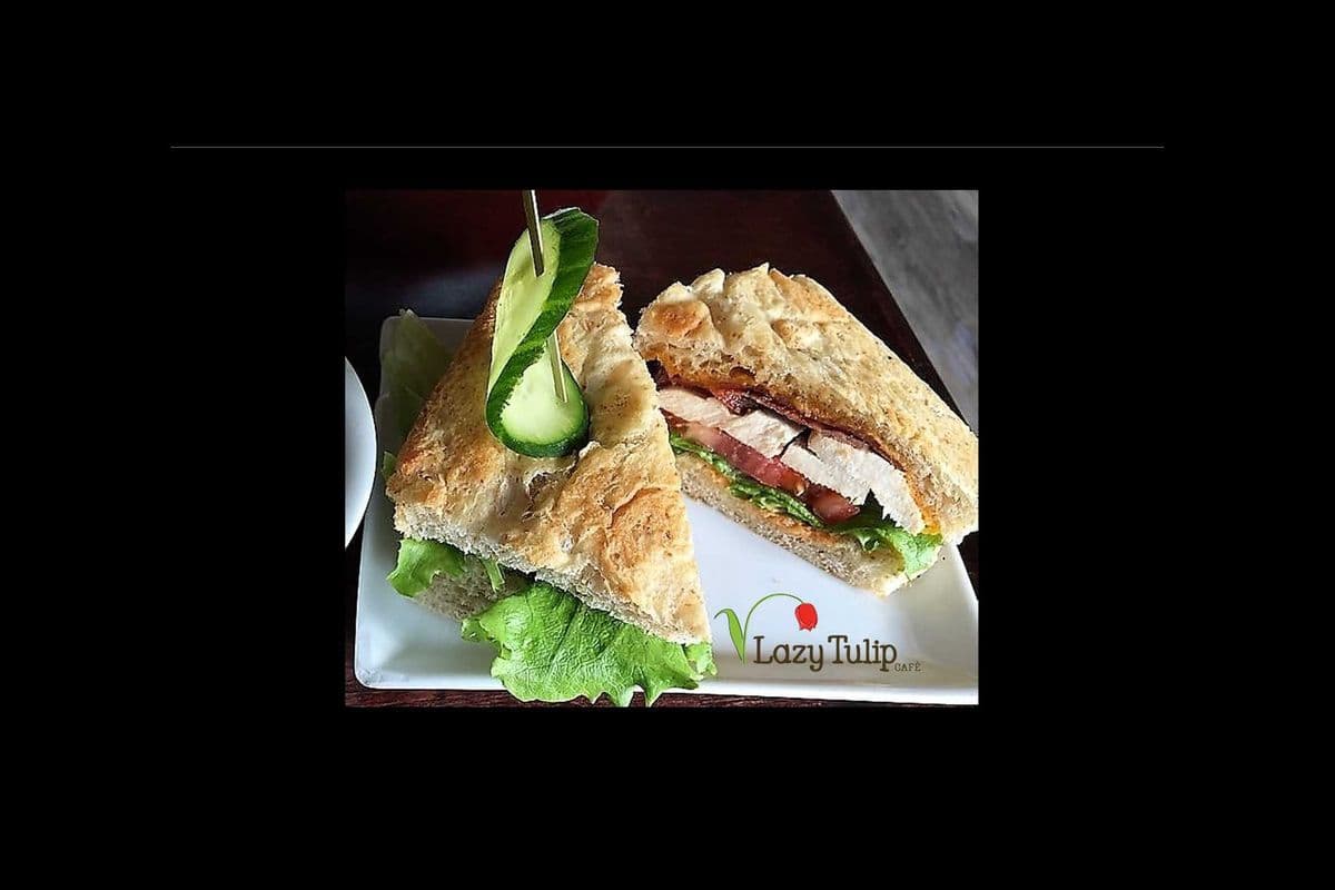 Lazy Tulip Chicken Club