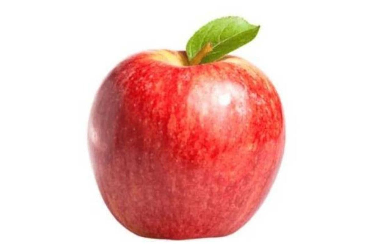 Apple (1 Unit)
