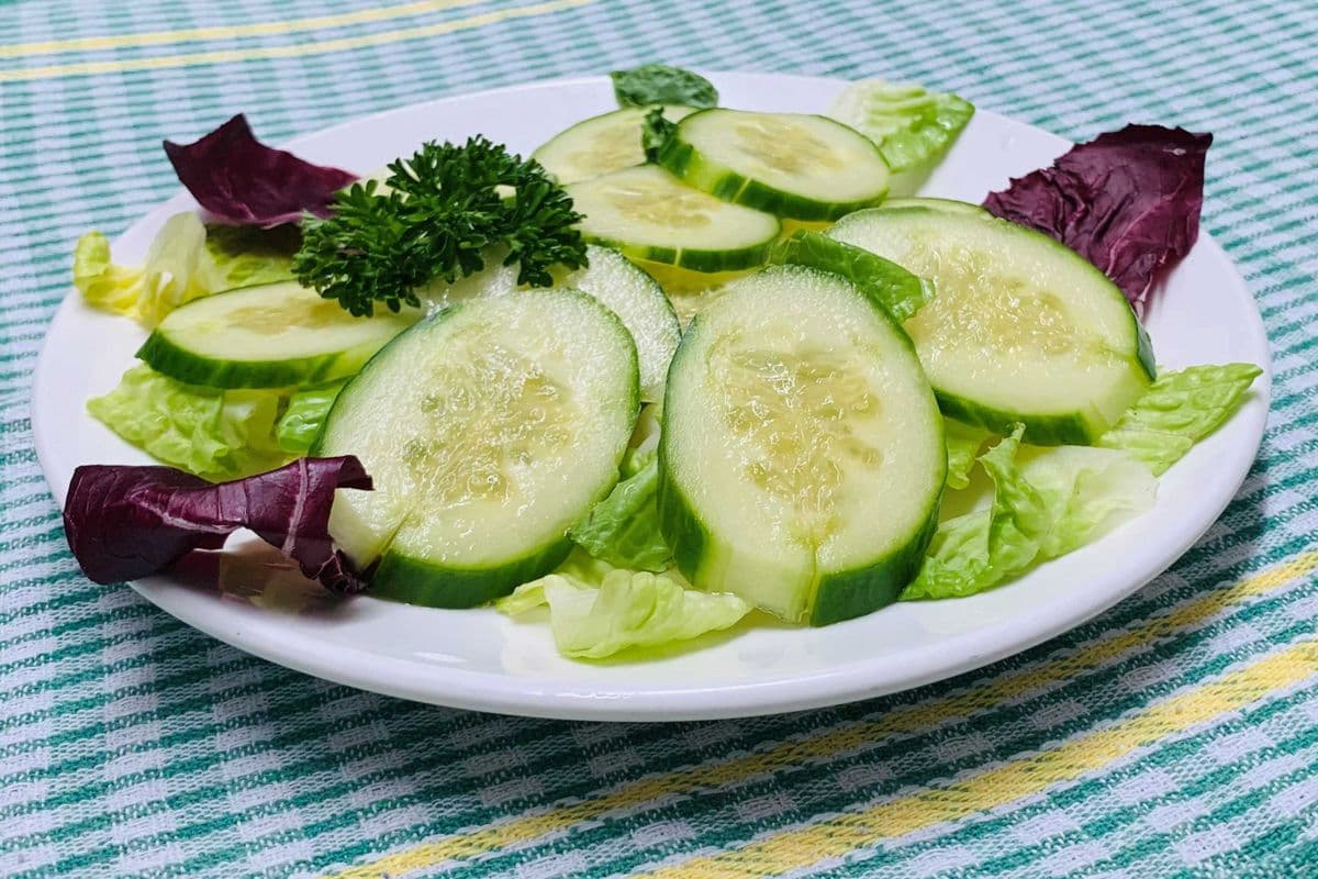Ensalada de Pepino / Salade de concombre / Cucumber Salad