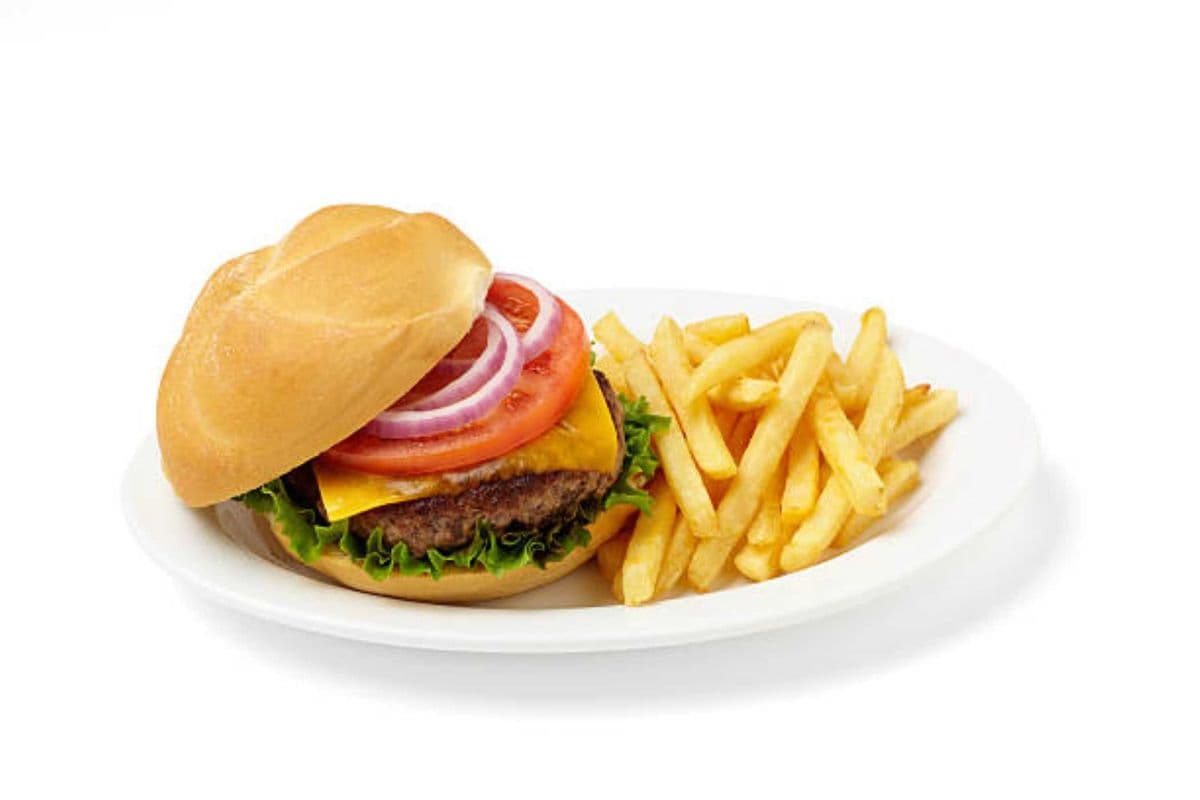 Veg-Burger + Fries