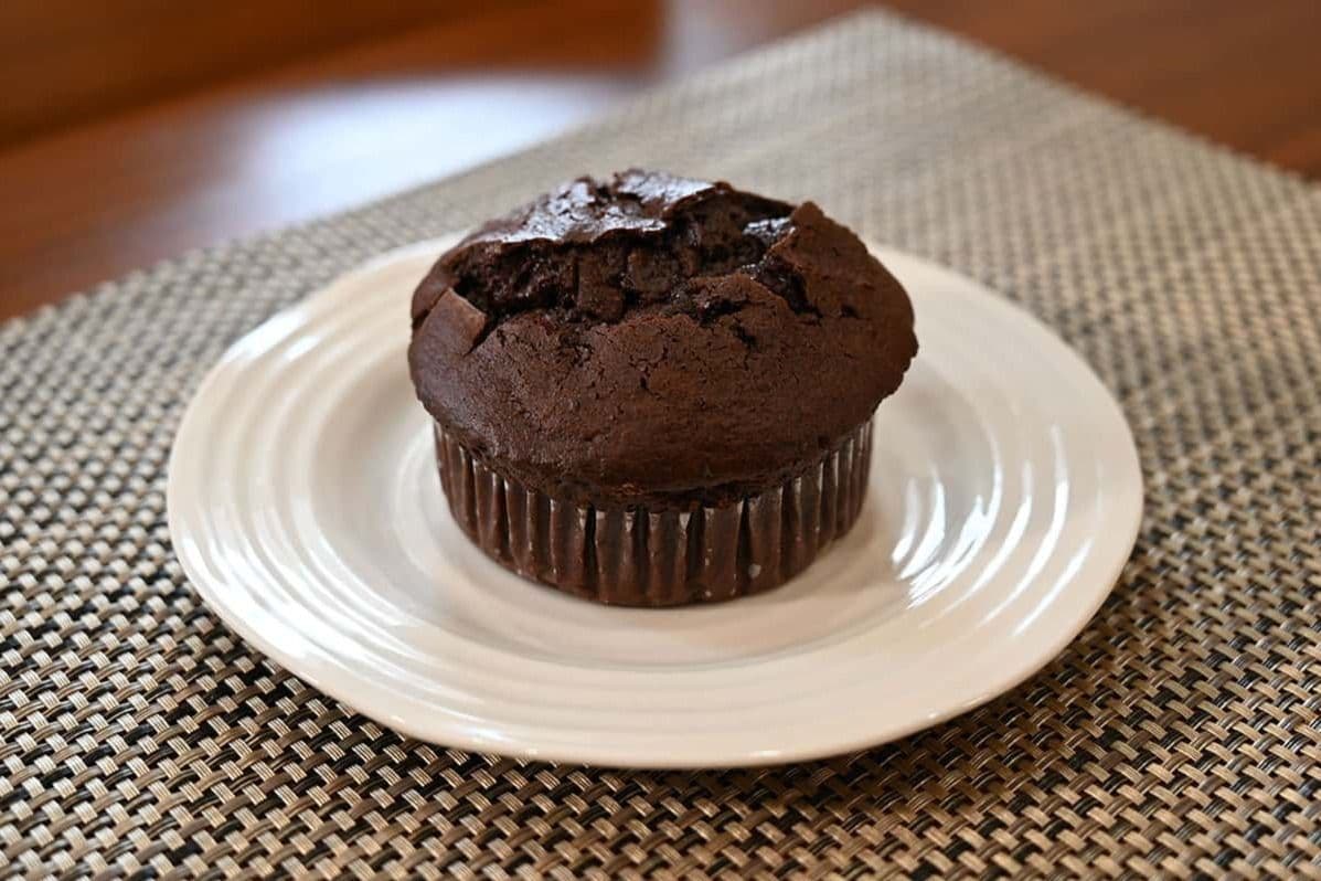 Double Chocolate Muffin
