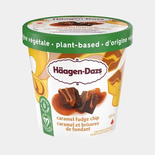 Haagen Dazs-Caramel et brisures de fondant / Haagen Dazs-Caramel Fudge Chip