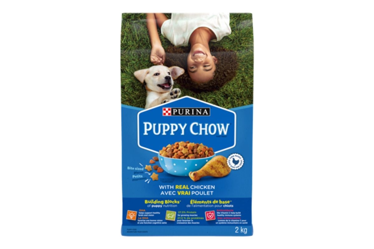 Purina Dry Dog Food