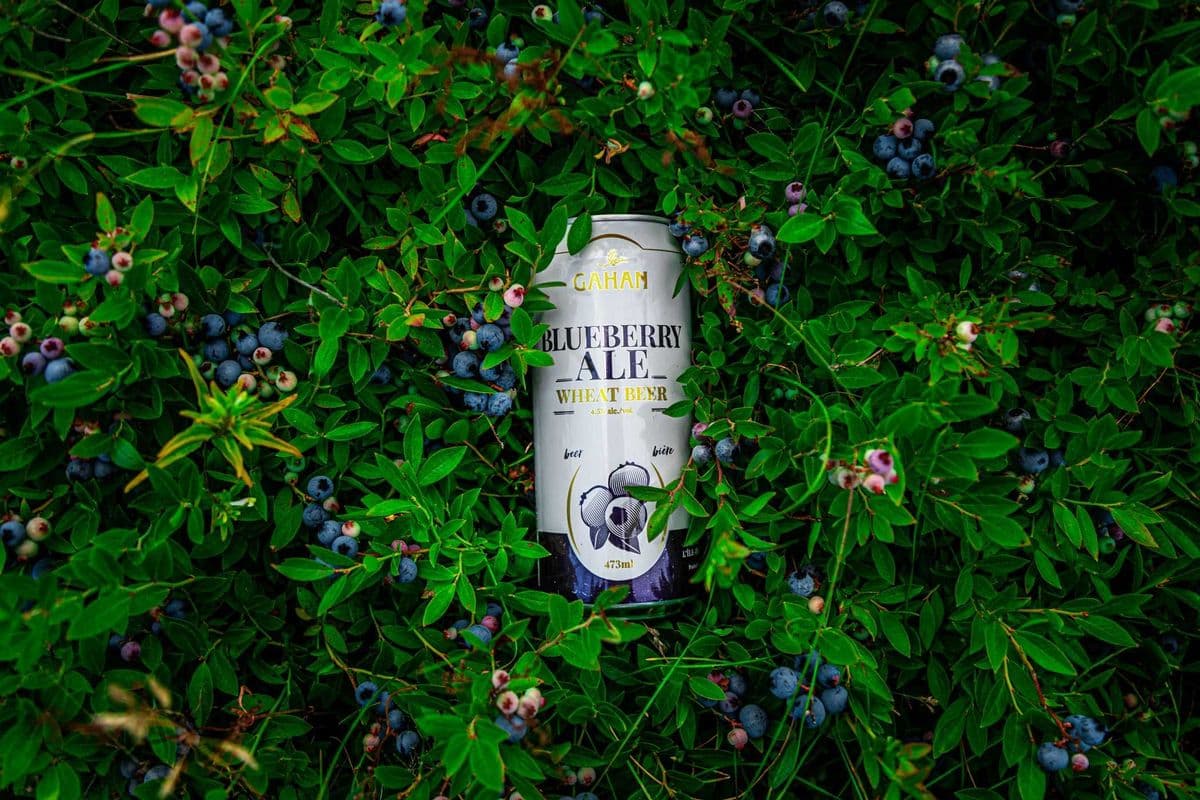 Gahan Blueberry Wheat Ale (4 pack) (4 x 355 ml cans)