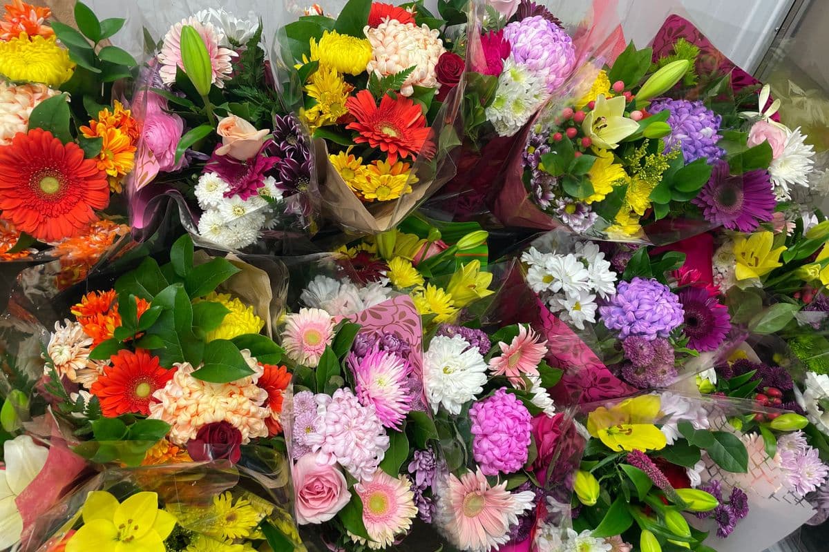 Bouquet Of The Day