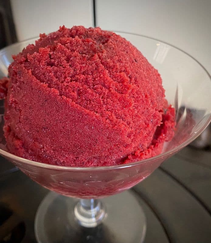 Haskap Sorbet
