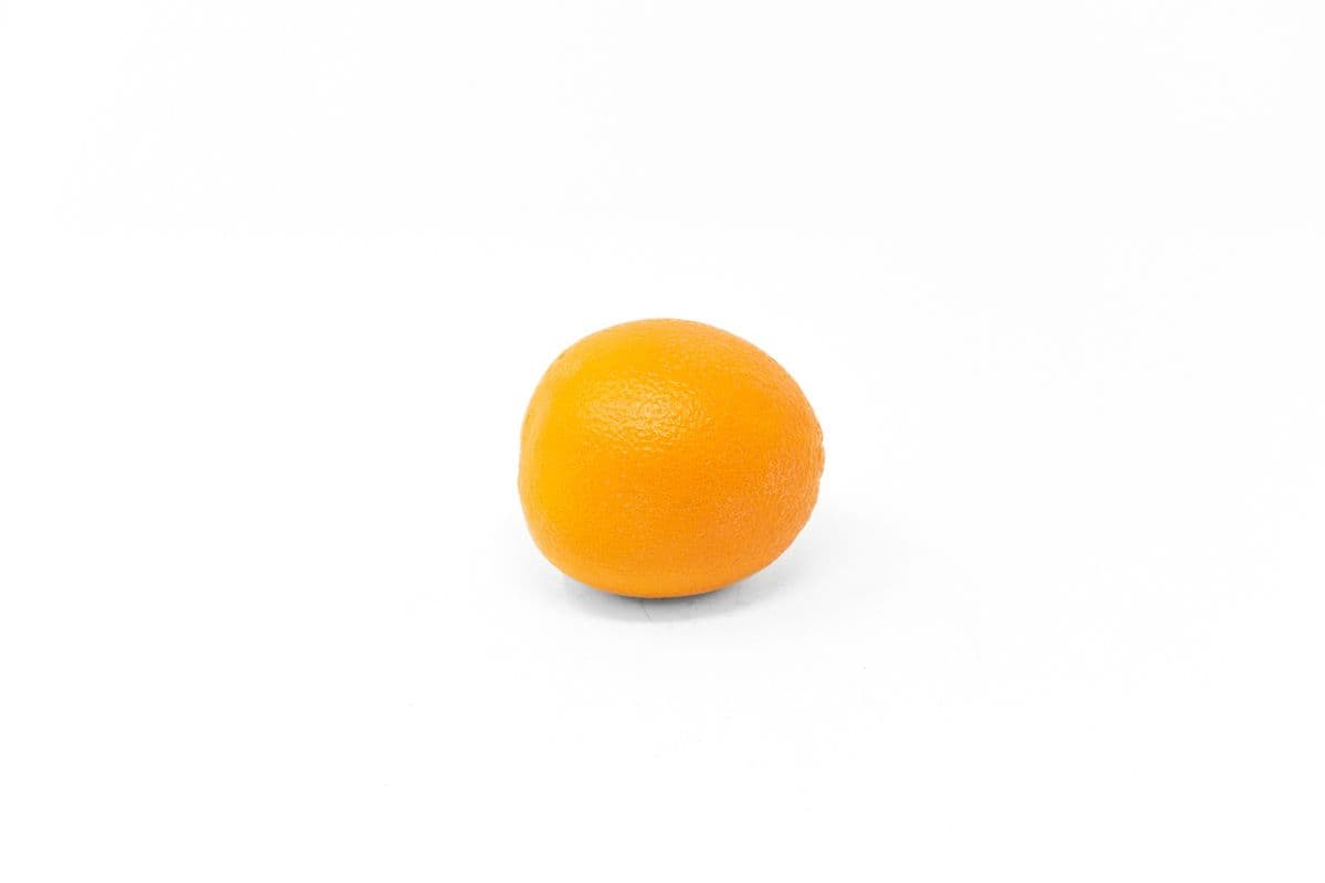 Large Navel Orange