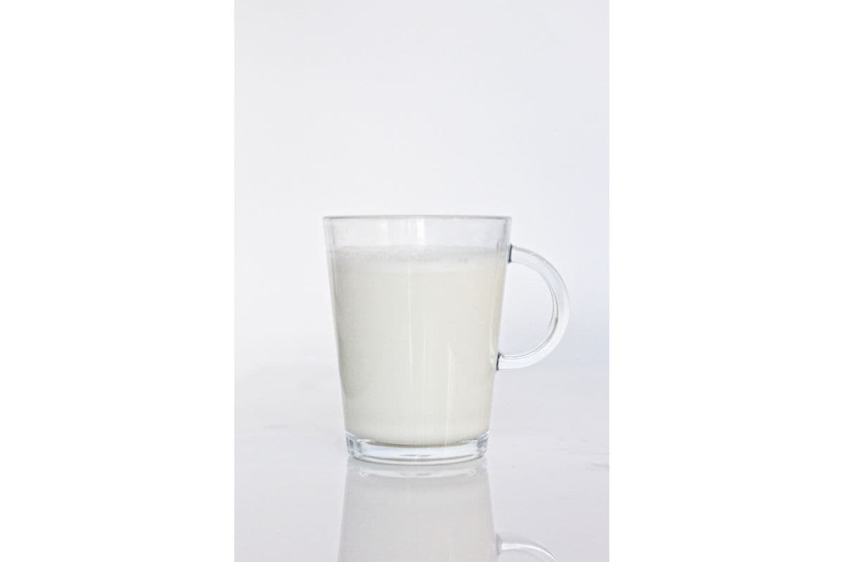 Steamed Milk