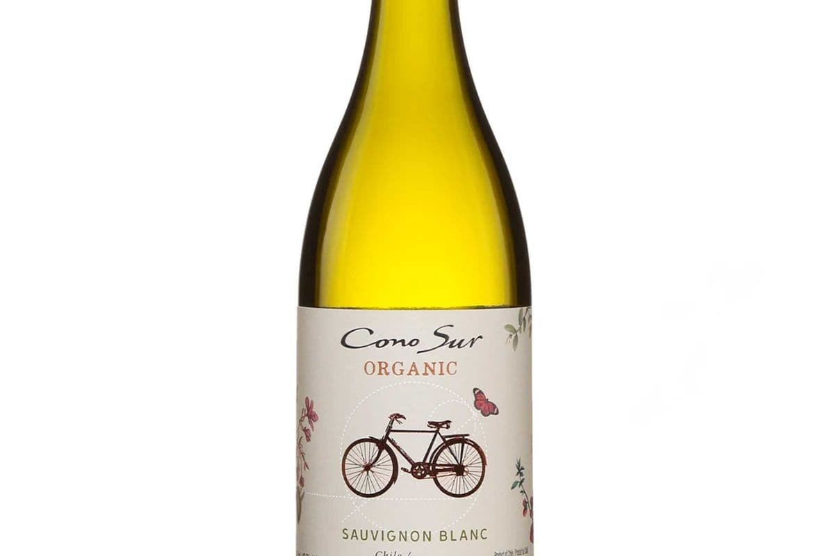 Cono Sur Organic Sauvignon Blanc (1 x 750 ml)