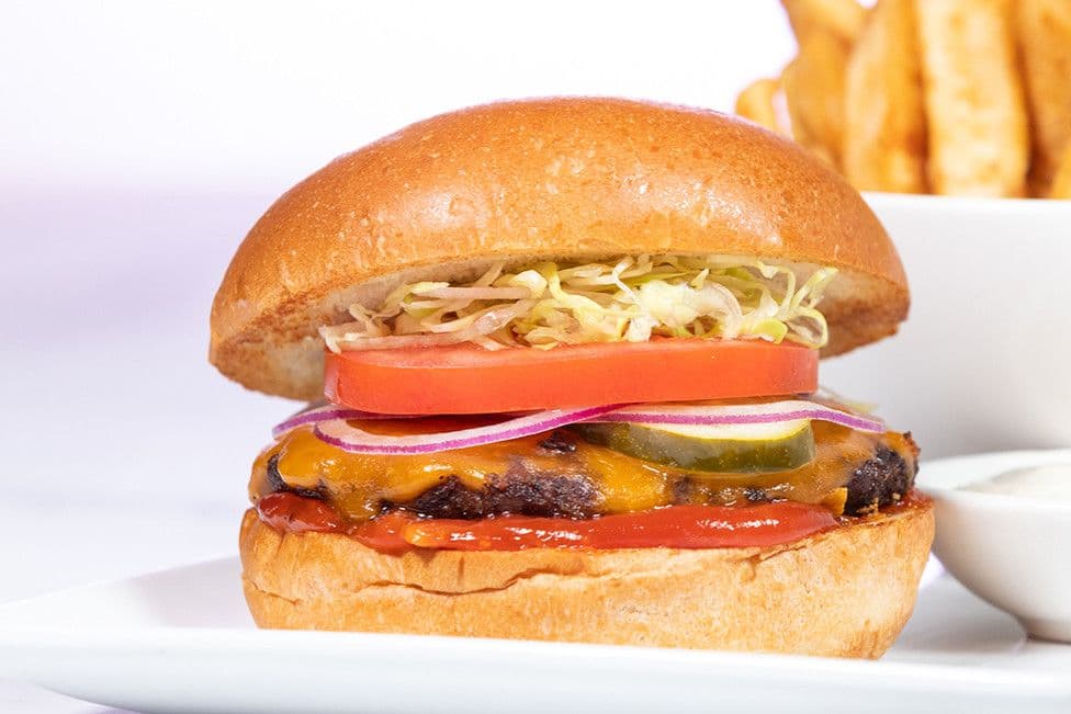 Bison Burger