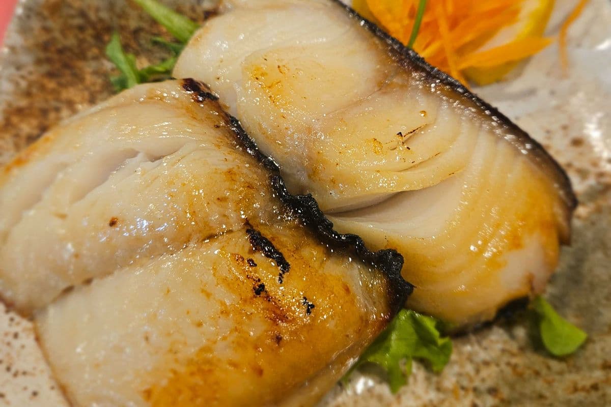 Black Cod