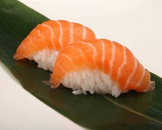 Salmon