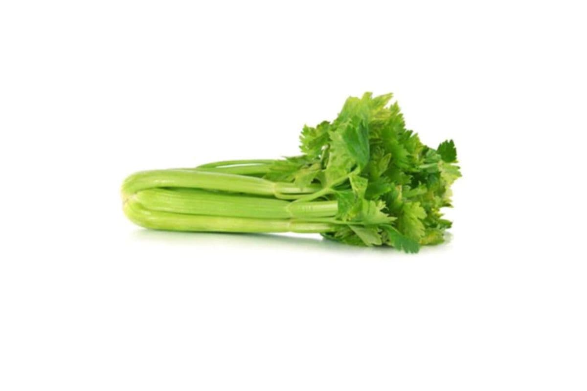 Fresh Celery