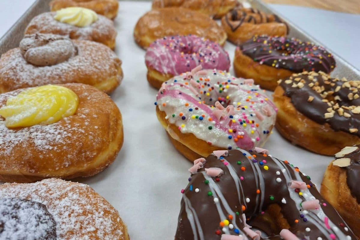 Assorted Donuts (Pack of 8)