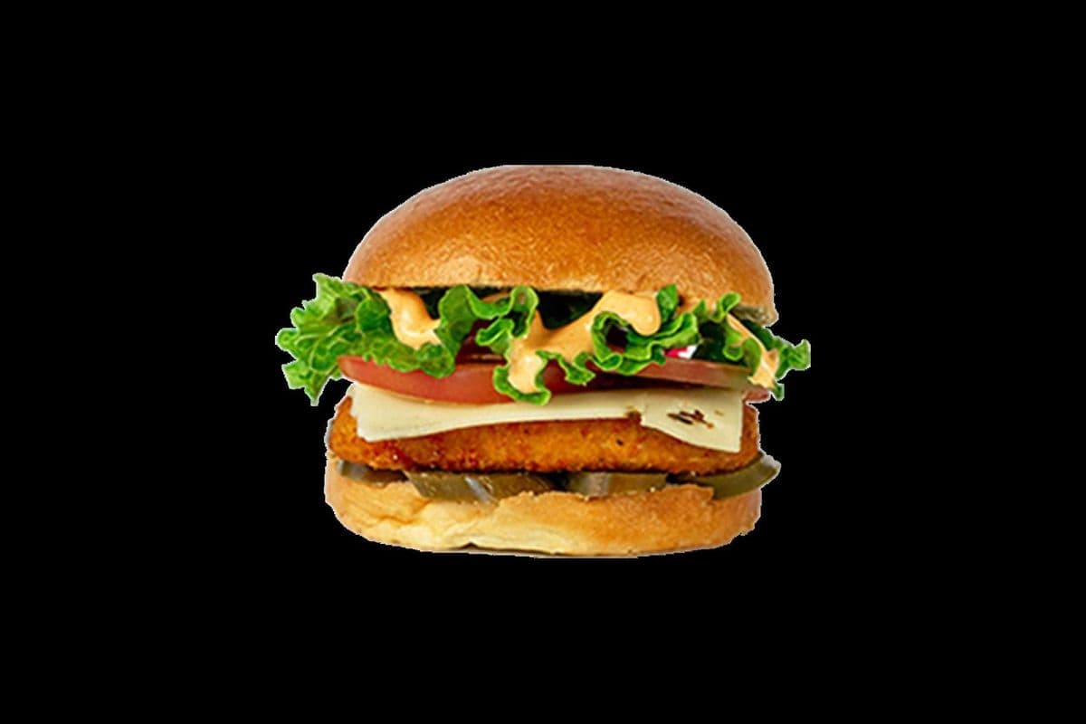 Beyond Spicy Chicken Burger Combo