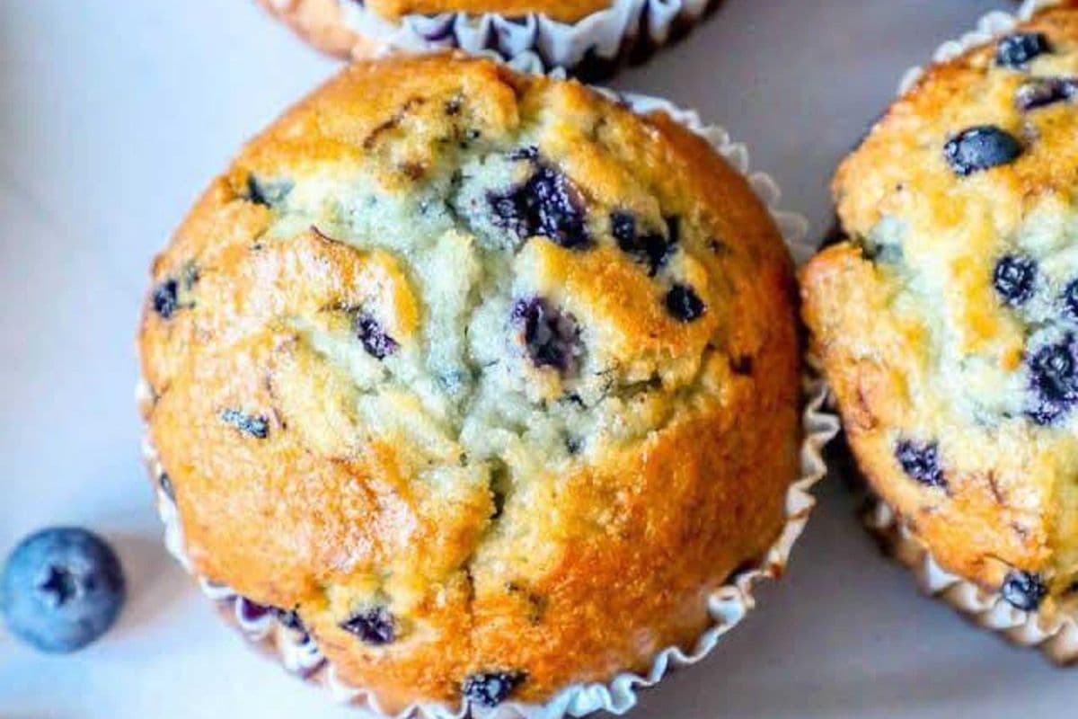Blueberry Muffin
