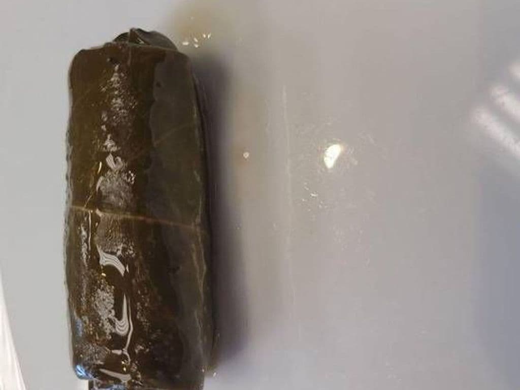 Grape Leaves GF