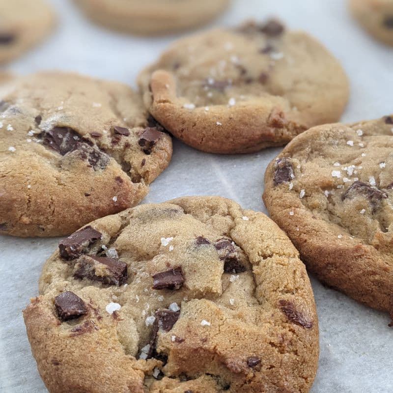 Chocolate Chip Cookie