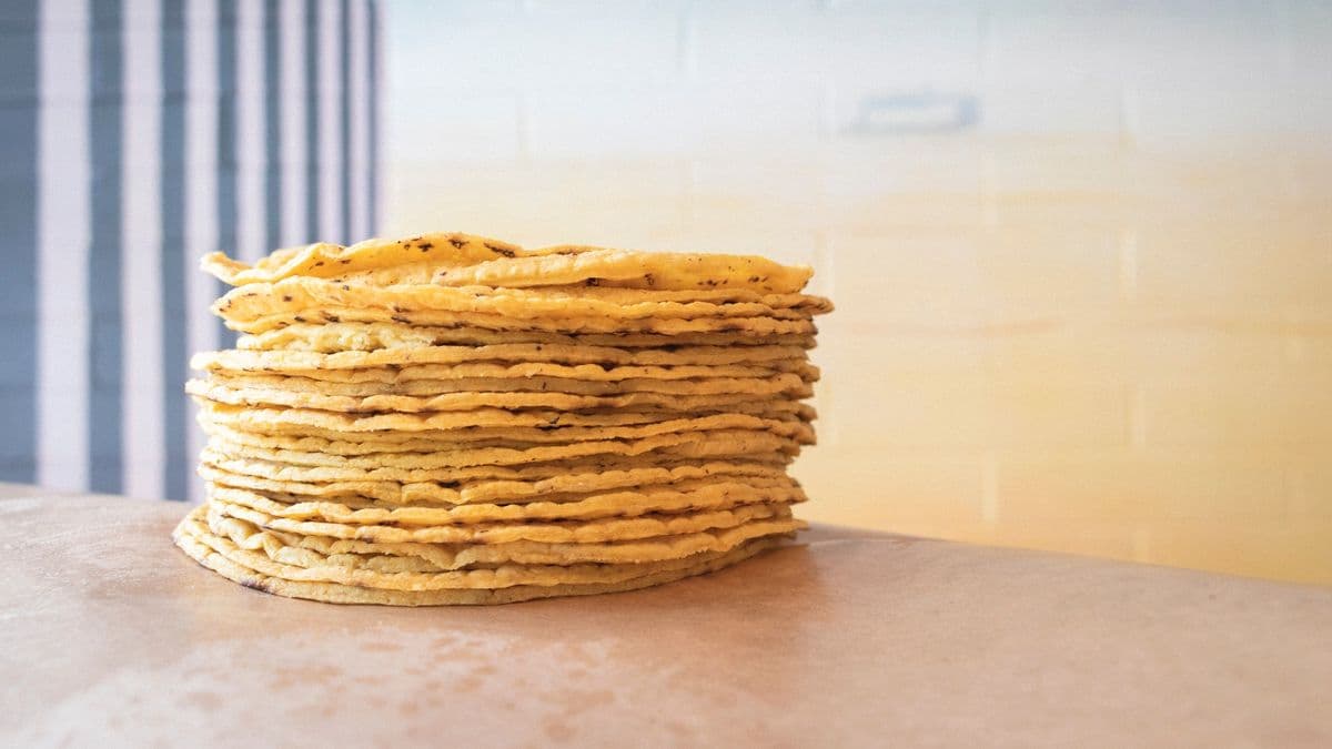 1LB TORTILLAS