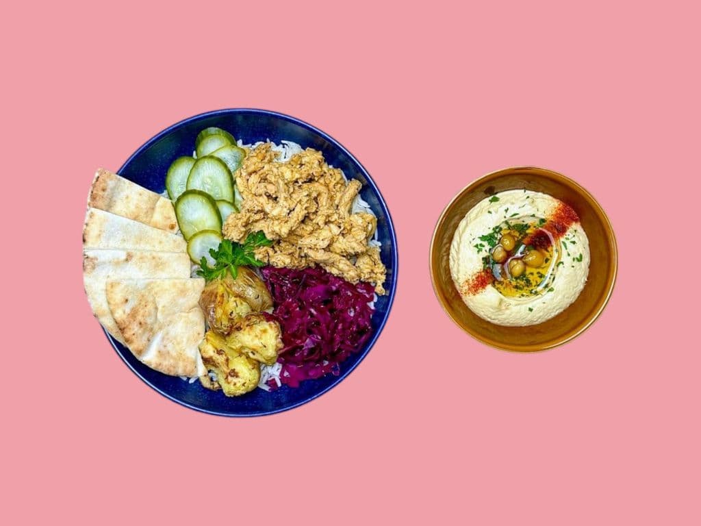 Shish Kabab Platter