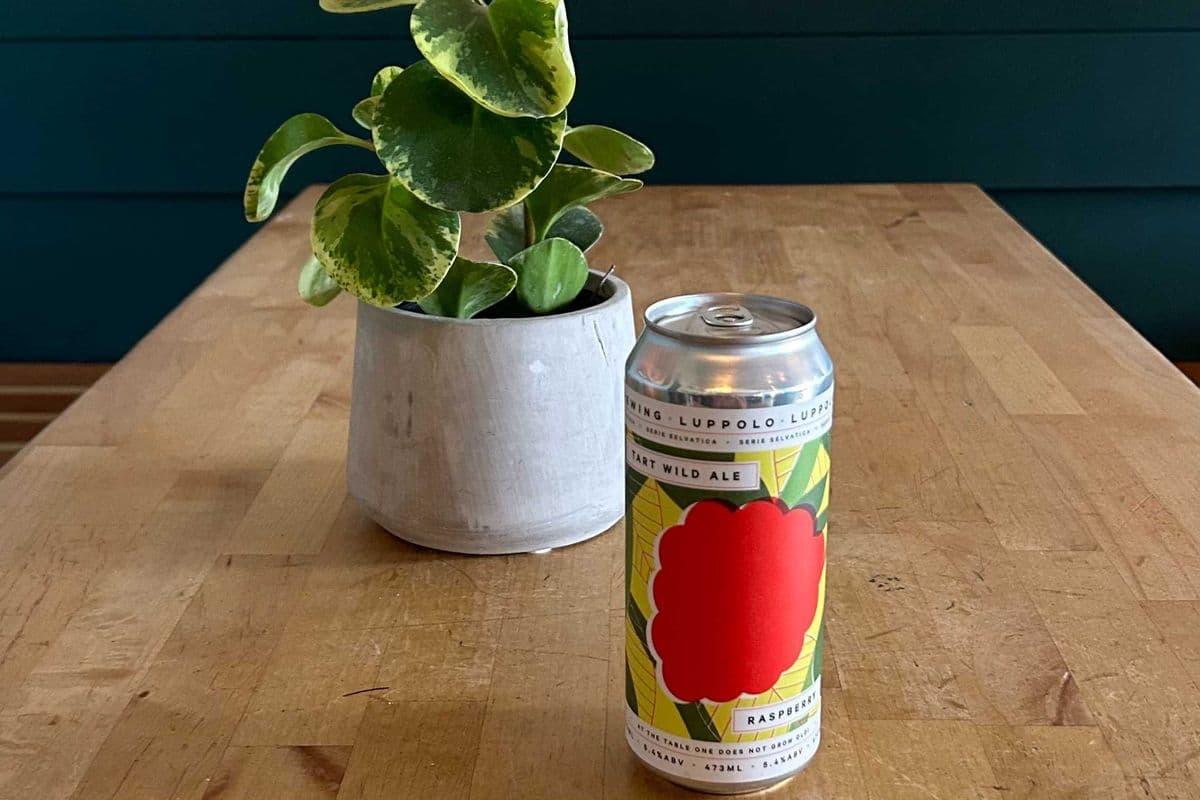 Luppolo Wild Tart Ale - Rotating (Sour) (1 x 473ml)