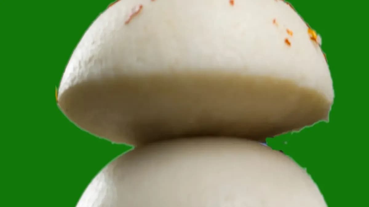 Sambar Idlis (2pcs)