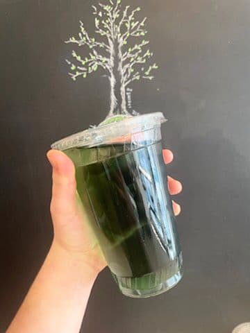 Mint Chlorophyll Water (Green Detox)