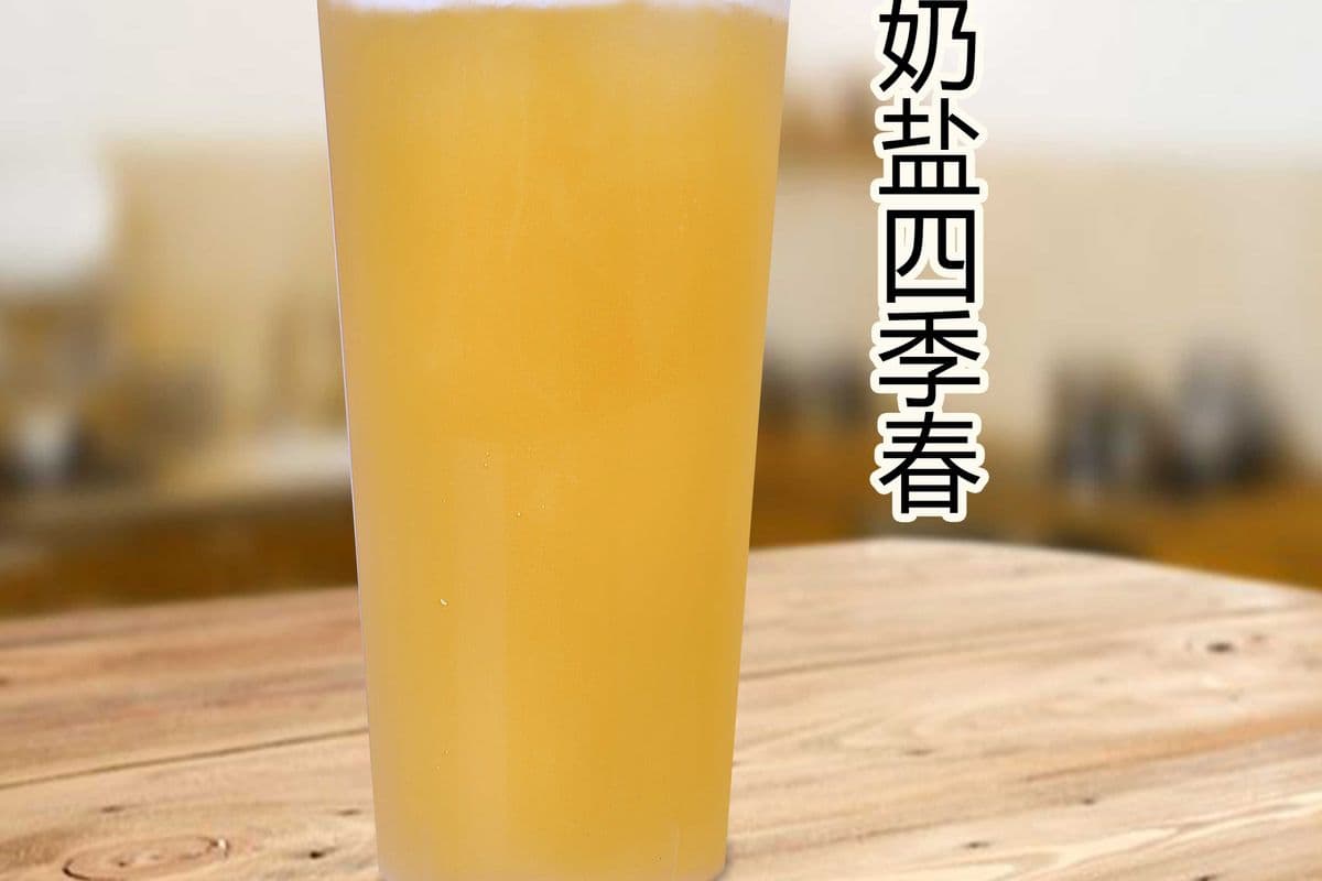 Four Season Classic Milk Foam 四季青奶盖 (500ml)