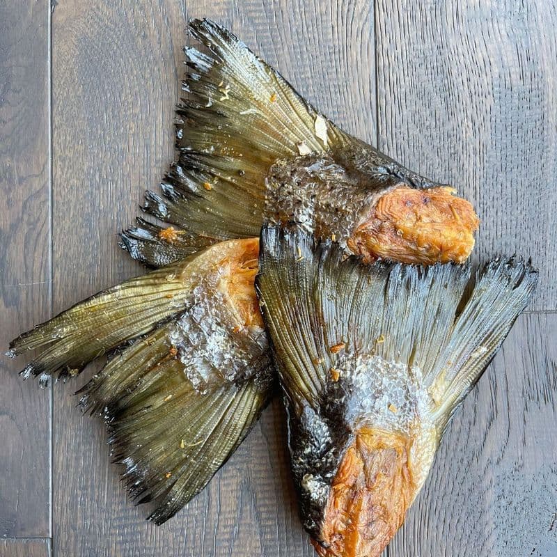 JT Pets Atlantic Salmon Tail