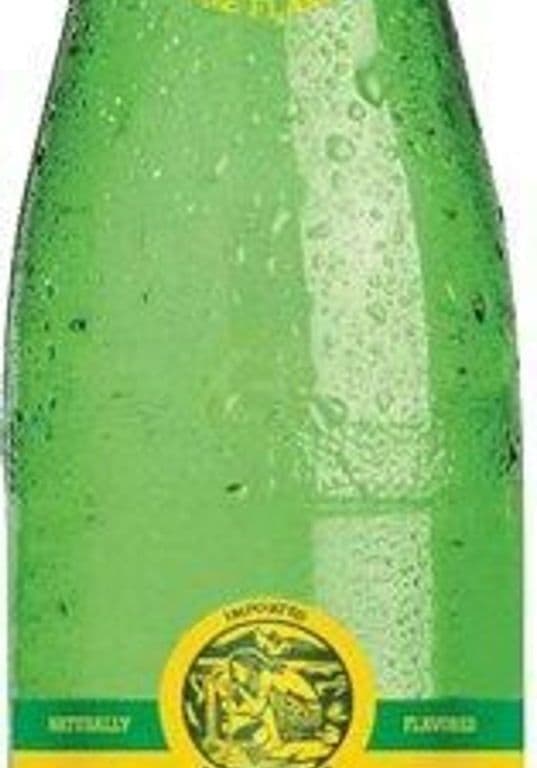 Topo Chico Mineral Water 355ml