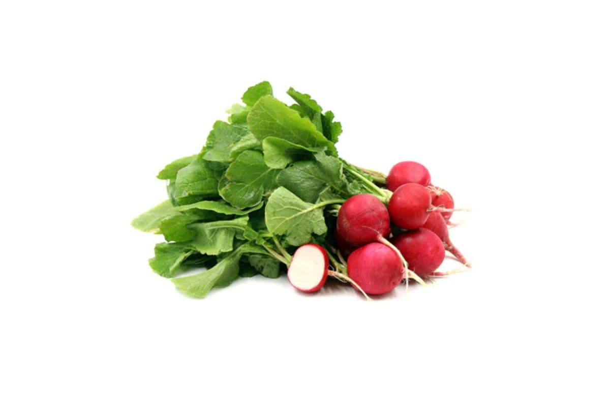 Radish Bunch