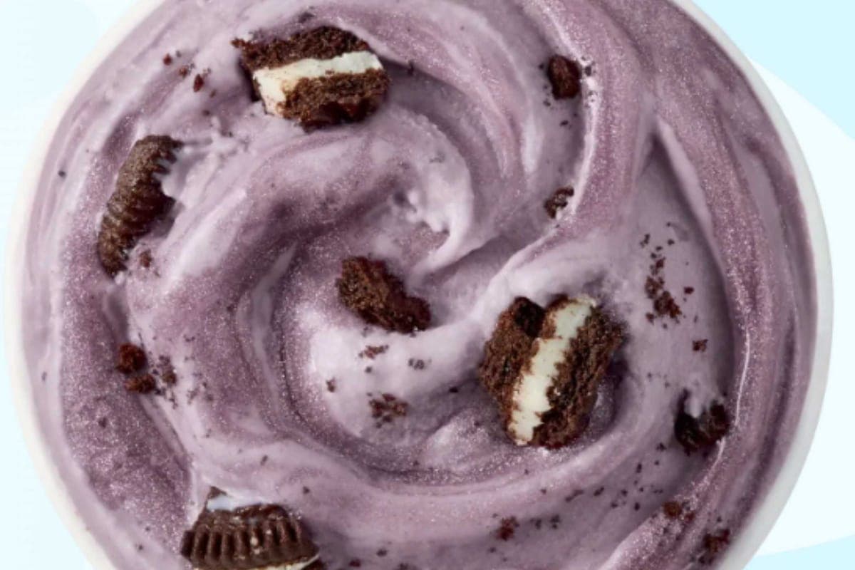 Dessert BlizzardMD Oréo enchanté/Enchanted Oreo BlizzardMD.
