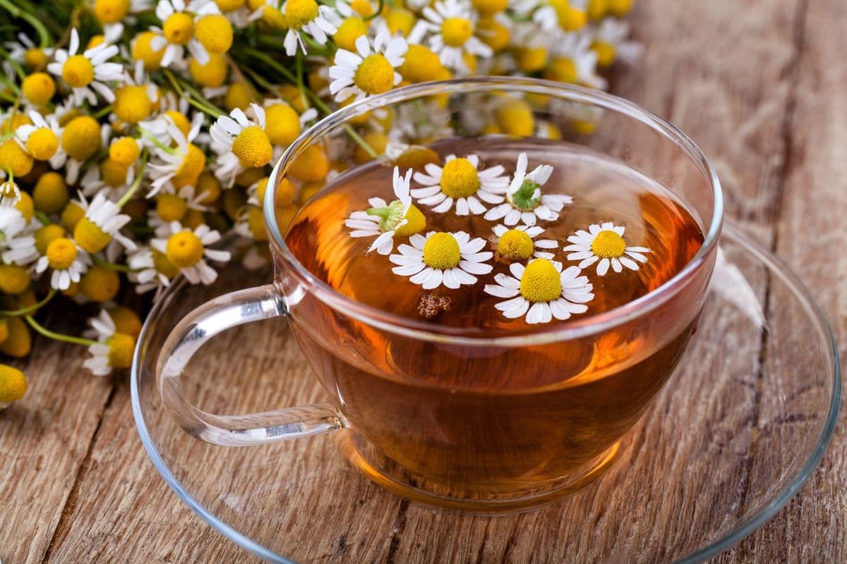 Chamomile Tea (12 oz)