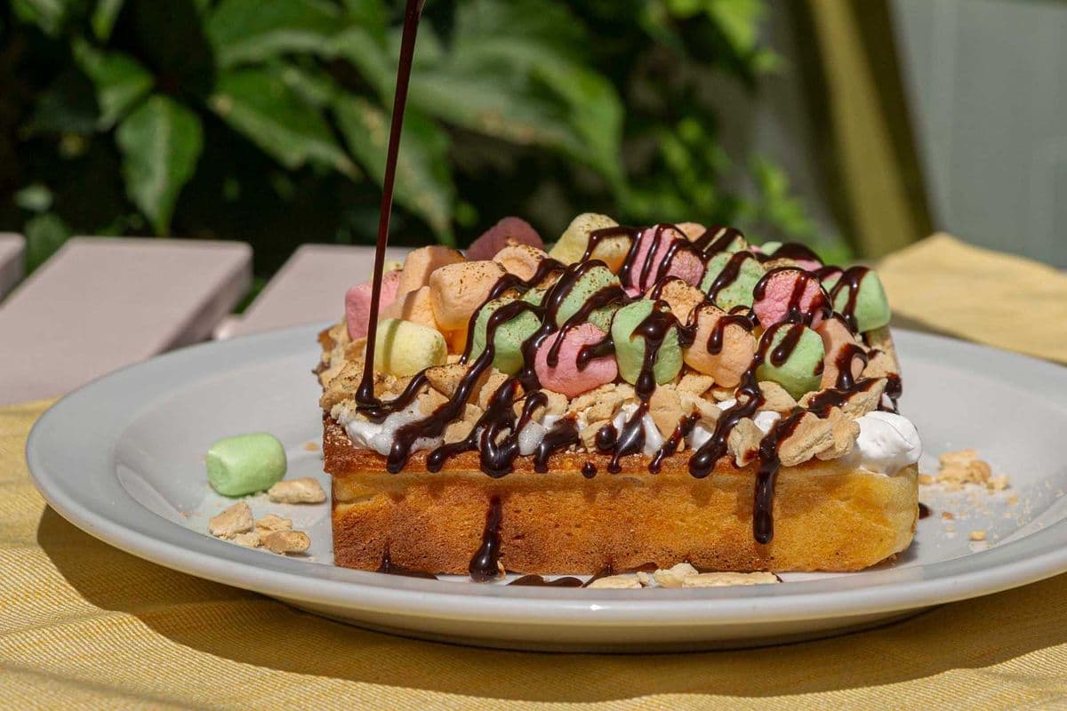 S'mores Waffle