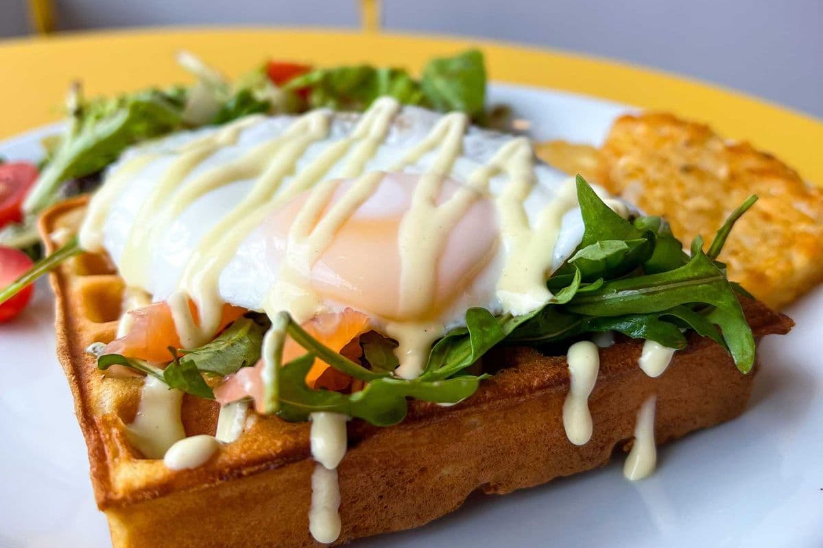 Sunny Salmon Waffle