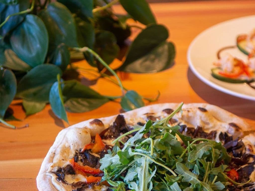Funghi Forager 10”