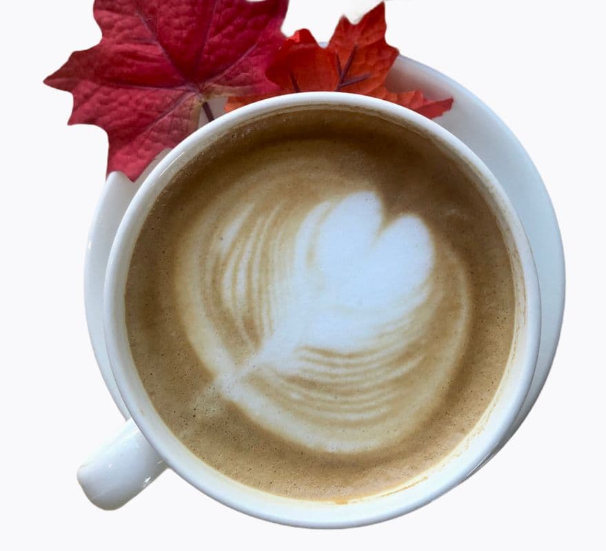 Lodge Latte Traditional
