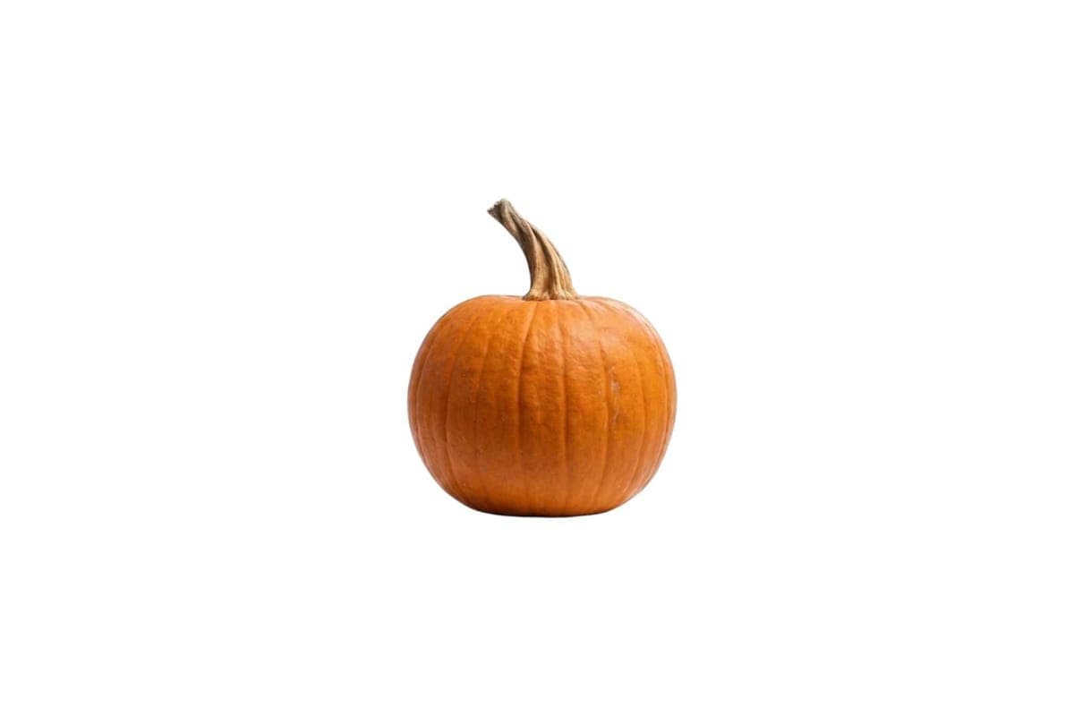 Classic Orange Pumpkin - Small