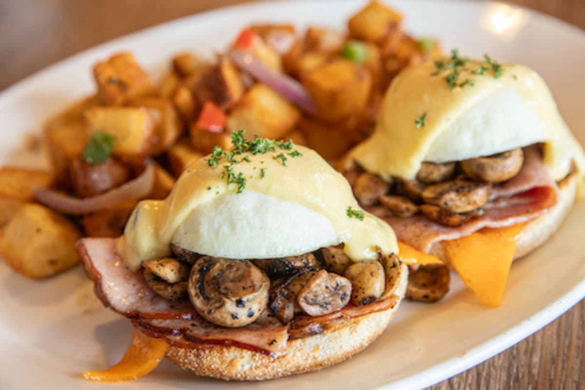 WESTERN BENEDICT