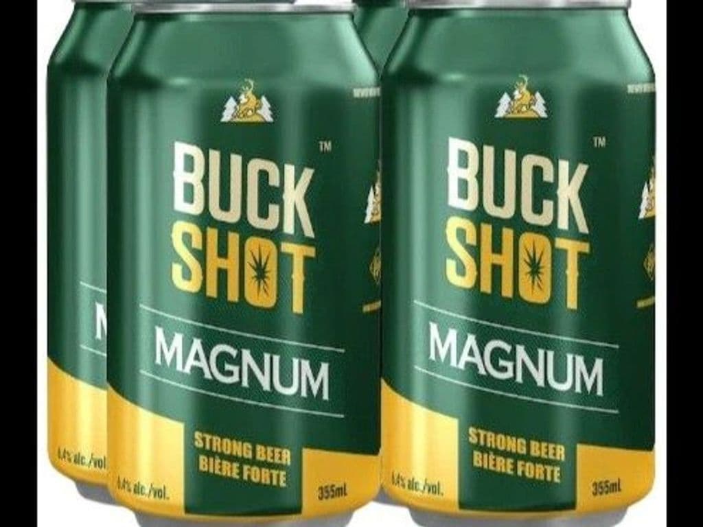 Buckshot Magnum Cans 330ml (4 pack)
