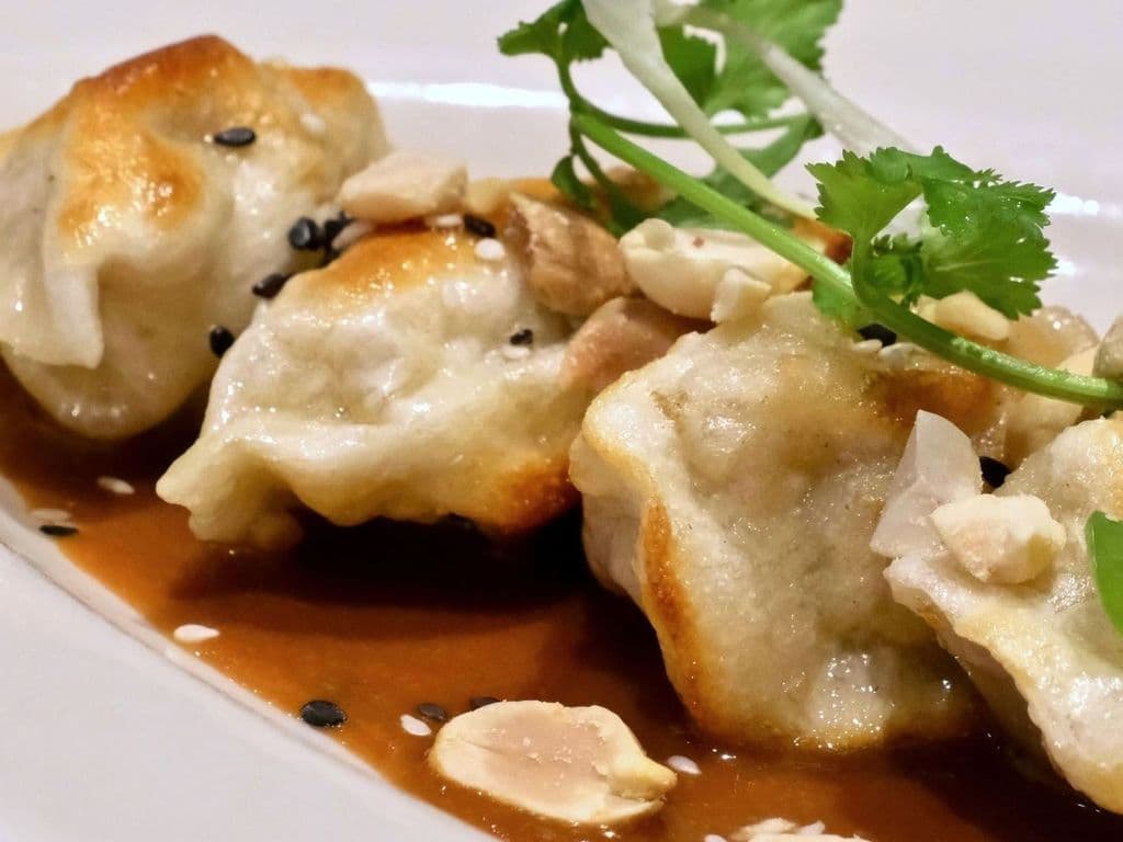 Dumplings aux poulet et légumes / Chicken and Vegetable Dumplings