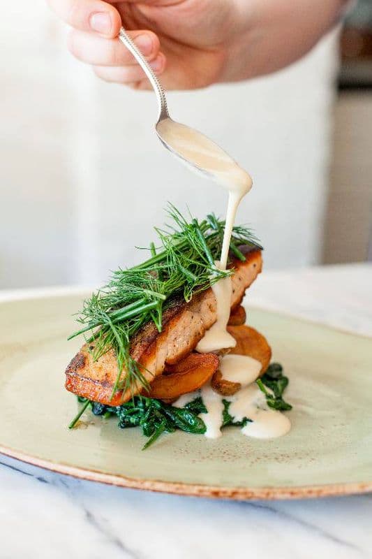 Salmon