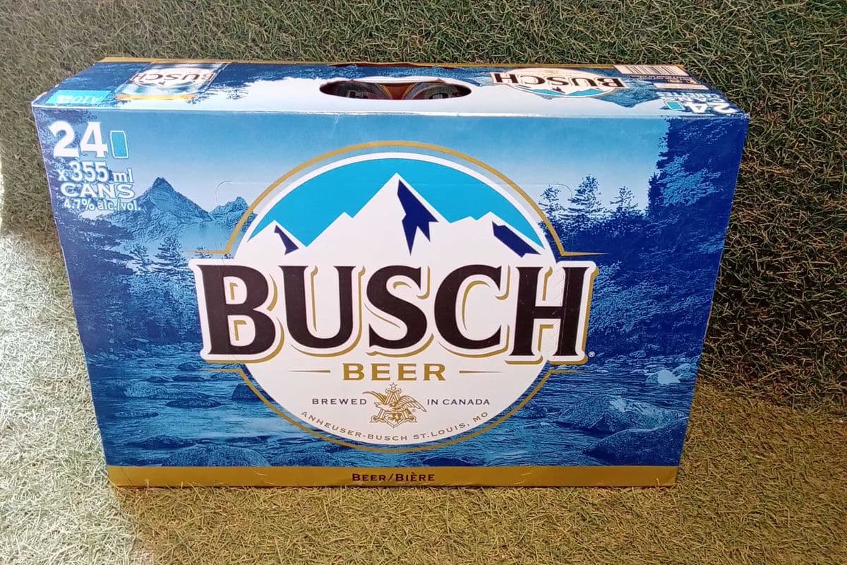 Busch (24 x 355 ml)