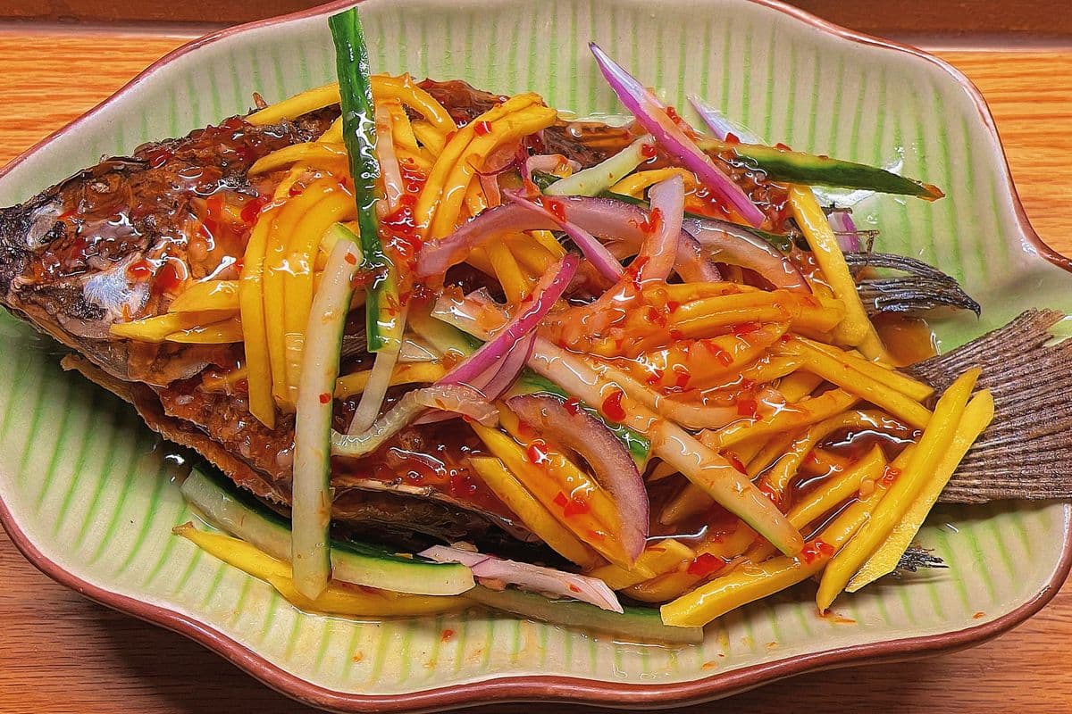 Mango Fish 芒果鱼