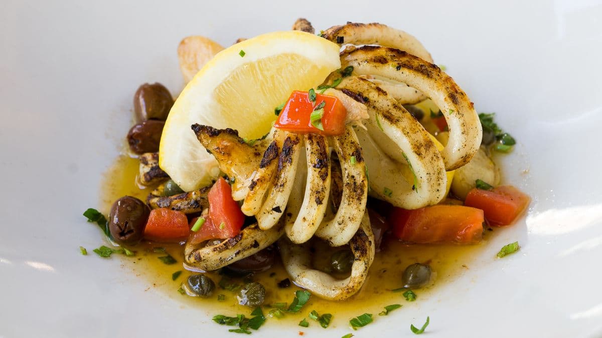 Grilled Calamari