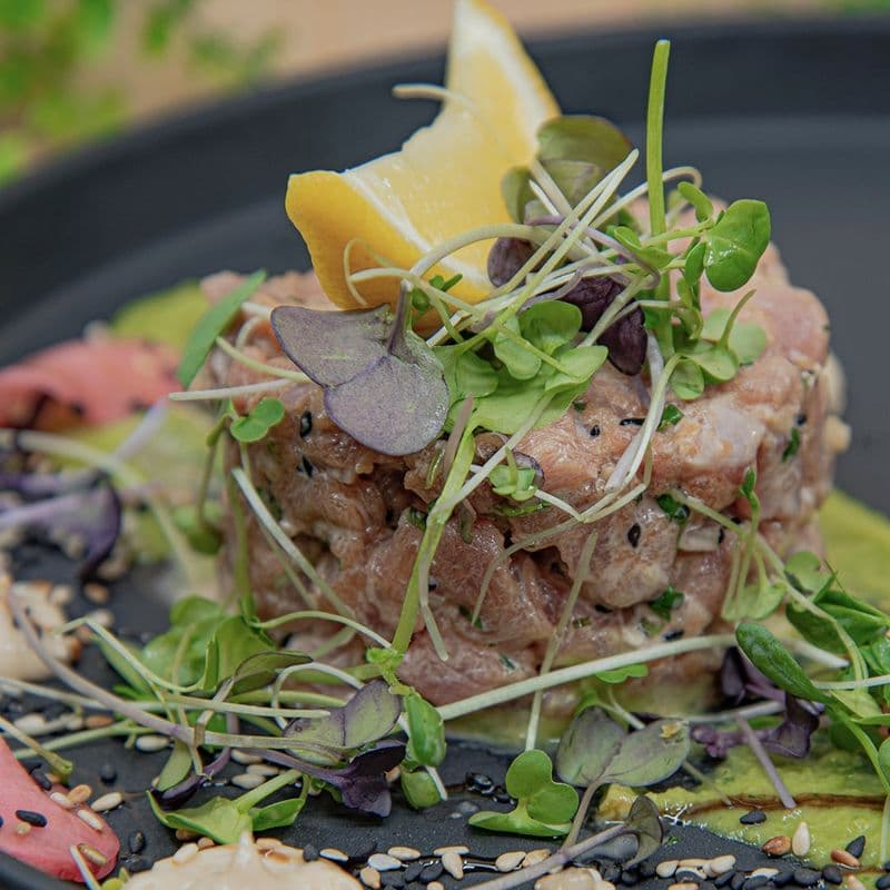 Le Thon Asiatique / Asian Tuna