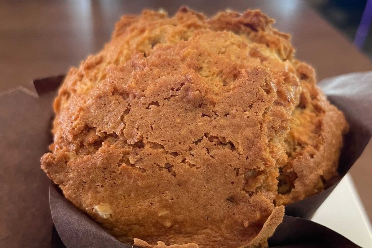Muffin of the Day