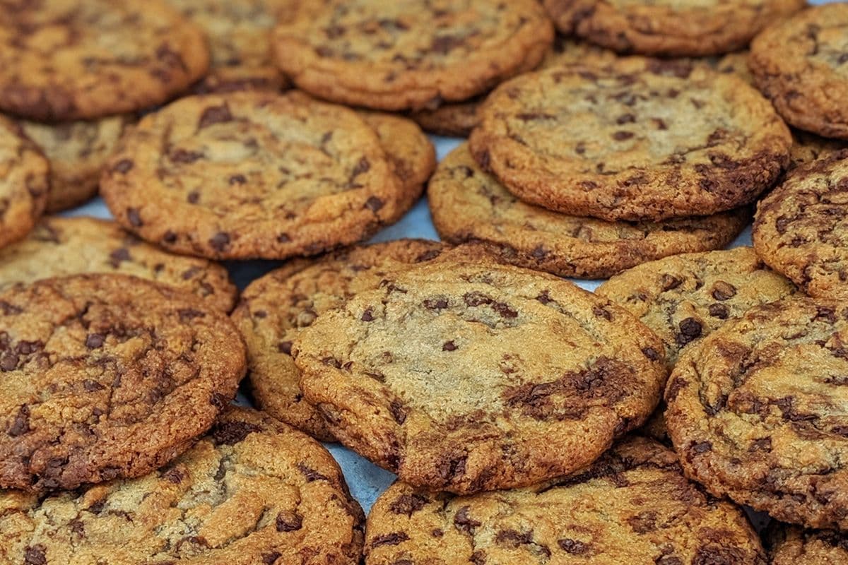 Chocolate Chip Cookie